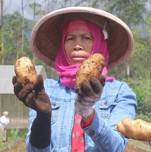 Ibu Siti